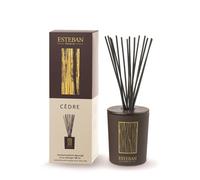 Bouquet parfumé décoratif Esteban Cèdre