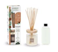 Bouquet parfumé Ellipse Cèdre sauvage 200 ml