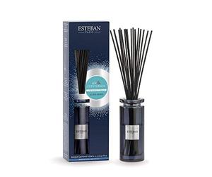 Bouquet parfumé initial et sa recharge 75ml Lin et Petitgrain