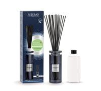 Bouquet parfumé thé blanc & ylang-ylang