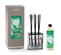 Bouquet parfumé triptyque 250ml