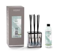 Bouquet parfumé triptyque 250ml
