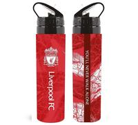 Bouteille alluminium Team Merchandise Rouge 750 ml Unisex