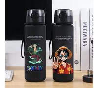 Bouteille d'eau portable 650 ml One Piece pour hommes, motif dessin animé, givrée, sportive, décontractée, anti-chute, avec paille, pour garçons, cadeau HZW904