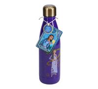 Bouteille en acier isotherme World Trade and Technologies Disney Wish Violet 500 ml