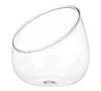 Bouteille en Verre Borosilicaté, Bocal Succulentes | Décoration Micro Paysage, Forme Ronde à Coupe Oblique, Vase Transparent pour Led, Fenêtre et Bureau