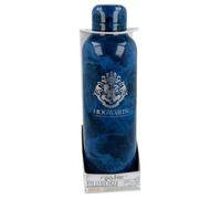 Stor Bouteille isotherme en acier inoxydable Harry Potter Poudlard 515 ml Bleu Enfants