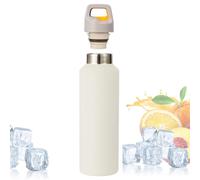 Bouteille isotherme de 600 ml avec couvercle à bouton-poussoir