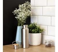 Bouteille isotherme design inox 0,75l