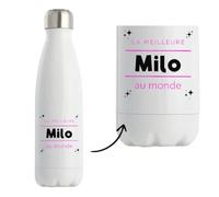 Bouteille Isotherme La meilleure Milo au monde 2 - Bottle - Idée Bouteille Isotherme Cadeau Anniversaire Fête Original Famille Travail Départ Collègue Retraite Noël.