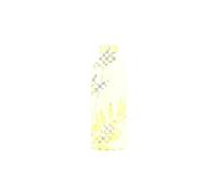 bouteille isotherme tivoli 850ml