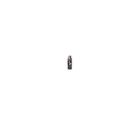 Stor Pokemon Bottle 515ml Bleu Enfants