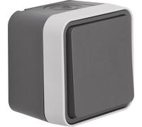 Bouton contact NO avec berceau montage en saillie gris mat - Le contact du bouton (NO) est gris 5045...