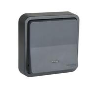 Schneider Electric SC5SHN0212459 Bouton Poussoir lumineux mureva Styl, 250 V, Gris