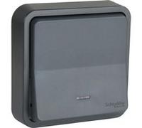 Schneider Electric SC5SHN0212459 Bouton Poussoir lumineux mureva Styl, 250 V, Gris
