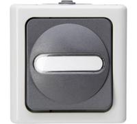Bouton-poussoir Kopp 561456001 BlueElectric gris
