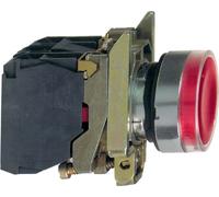 Bouton-poussoir lumineux Schneider Electric rt XB4BW34M5