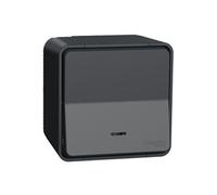 Bouton-poussoir MUREVA STYL lumineux IP 55 gris - - MUR35028