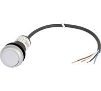 Bouton-poussoir plat Eaton C22-DL-W-K10-24-P62 185588 blanc 1 pc(s)