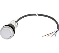 Bouton-poussoir plat Eaton C22-DL-W-K10-24-P62 185588 blanc 1 pc(s)
