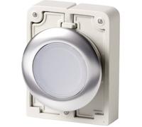 Bouton-poussoir plat, rond, chromé Eaton M30C-FDL-W 182925 bouton blanc 1 pc(s)