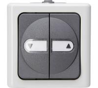 Bouton-poussoir pour stores Kopp 560956012 BlueElectric gris