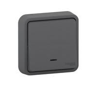Interrupteur va-et-vient lumineux - SCHNEIDER ELECTRIC - MUREVA STYL - IP55 - 10 AX - Gris