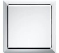 Bouton radio en saillie sans pile 30000706