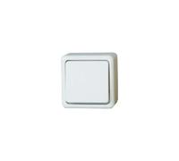 Kopp 514302007 Bouton Standard Montage en saillie 10 A 250 V