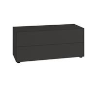 Box à tiroir/commode Nex Pur Box 2.0 120x50x48cm with gliding feet/2 drawers