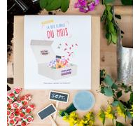 Box graines de fleurs de septembre