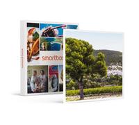 Box ?nologie : 6 Bouteilles De Vin Rosé Livrées À Domicile - Smartbox - Coffret Cadeau Gastronomie