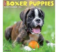 Boxer Puppies 2026 12 X 12 Wall Calendar - Willow Creek Press - Willow Creek Press Calendars - Livre en Anglais - Calendar Willow Creek PressWillow Creek Press (Auteur)