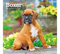 Boxer Puppies | 2027 7 x 14 Inch (Hanging) Monthly Mini Wall Calendar | BrownTrout | Animals Dog Breeds Puppy