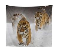 Boyouth Tapisserie Murale à Suspendre, Tigre, Lion, Impression numérique, décoration Murale pour Salon, Chambre à Coucher, dortoir 59.1"x39.4"(150cm*100cm) Tiger01