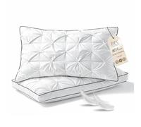 BPC Oreiller Plumes et Duvet d'oie 40x80 cm Lot de 2, 3 Chambres | 90% Duvet d'Oie en Chambres Extérieures | Housse 100% Coton Bio | Moelleux et Gonflant | Certifiée OEKO-TEX, RDS & DownPass