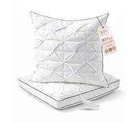 BPC Oreiller Plumes et Duvet d'oie 80x80 cm Lot de 2, 3 Chambres | 90% Duvet d'Oie en Chambres Extérieures | Housse 100% Coton Bio | Moelleux et Gonflant | Certifiée OEKO-TEX, RDS & DownPass