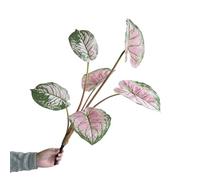 BQEE Calathea Plante artificielle - 2 tailles : 90 cm et 70 cm - Fausse verdure réaliste pour la maison, le bureau et la décoration, 1 pièce (Style B-rose)