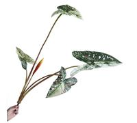 BQEE Calathea Plante artificielle - 2 tailles : 90 cm et 70 cm - Fausse verdure réaliste pour la maison, le bureau et la décoration, 1 pièce (Style-A-vert)
