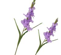 BQEE Lot de 2 fleurs de glaïeul artificielles à longue tige pour décoration de maison/mariage/bureau (violet)