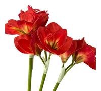 BQEE Lot de 3 fleurs d'amaryllis artificielles, 54,6 cm, rouge, blanc, rose, faux lys pour mariage, maison, bureau, décoration d'hôtel (rouge)