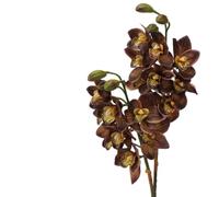 BQEE Real Touch Lot de 2 tiges d'orchidée cymbidium artificielles de 80 cm, grandes fleurs à 8 têtes, tiges pliables pour la maison, le mariage et la décoration de centre de table (café)