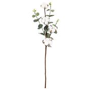 Branche de Coton Artificiel avec Eucalyptus,Fleur pour Vase Déco Nordique | 4 Têtes de Coton, Feuilles d'Eucalyptus, Tige Flexible, Sans Entretien 54cm