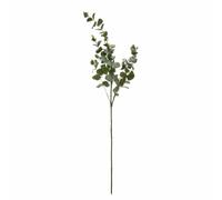 Branche Eucalyptus à Paillettes - Vintage