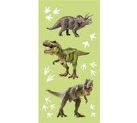 Brandmac - Serviette De Bain Ou De Plage 70 X 140 Cm - Motif : Dinosaure Vert G