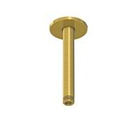 Steinberg Serie 100 bras de douche 1001571BG 120 mm, or brossé, montage au plafond