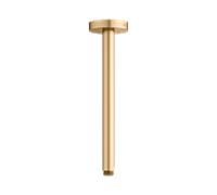 Bras de douche universel KEUCO 51689250300 saillie 300 mm, laiton brossé, raccordement au plafond, rosace ronde
