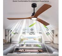 Brasseur d’air plafond 60 pouces grand format, 3 pales bois massif, double commande murale et télécommande, 6 vitesses rotation bidi