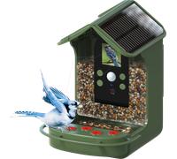 BRAUN 57647 - Caméra pour la vie sauvage, abri pour les oiseaux, solaire