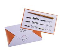 Brause 137B - Une pochette pour l'écriture et la calligraphie contenant 6 plumes (Sténo, Pfannen, Cito fein, Bandzug 1 mm, 2 mm et 3mm) et un porte-plume en bois